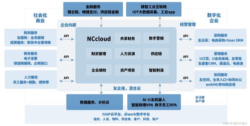 企業(yè)級(jí)bi應(yīng)用與實(shí)踐2 用友erp 以nc系列產(chǎn)品為例